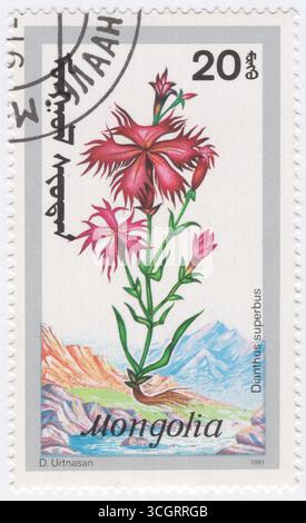 MONGOLIE - 1991 avril 15 : timbre-poste multicolore à 20 möngö représentant Dianthus Superbus. Dianthus superbus, le rose frangé ou grand rose, est une espèce de Dianthus originaire d'Europe et du nord de l'Asie, de la France au nord de la Norvège arctique, et à l'est du Japon ; dans le sud de son aire de répartition, il se rencontre à haute altitude, jusqu'à 2 400 M. C'est une plante herbacée vivace atteignant 80 cm de haut. Les feuilles sont vertes à vert grisâtre, minces, jusqu'à 8 cm de long Banque D'Images