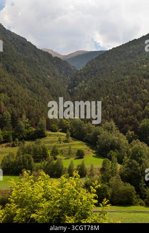 Vue alpine classique sur une vallée et des montagnes avec de nombreux arbres Banque D'Images