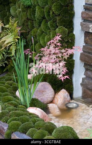 Un plan d'eau tranquille présente un feuillage rose éclatant, une mousse luxuriante et des pierres lisses, créant une atmosphère naturelle apaisante dans le jardin. Banque D'Images