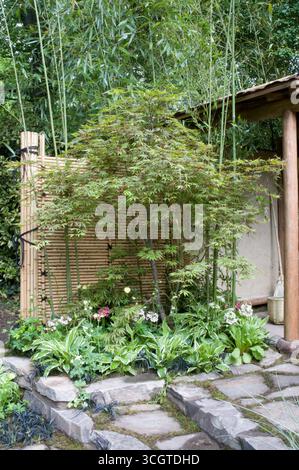 Un jardin serein avec du bambou, un érable japonais et des fleurs vibrantes sous la lumière du soleil, entouré de sentiers en pierre naturelle. Banque D'Images