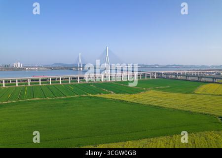 Pont moderne enjambe une large rivière près de la ville lointaine skyline. Des champs verts et jaunes éclatants fleurissent sous un ciel bleu clair. Banque D'Images