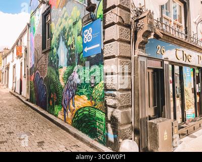 Kilkenny Irlande, juillet 2023 la peinture murale d'une forêt est peinte sur le flanc d'un bâtiment. La murale est entourée d'un mur de briques et d'un panneau avec le numéro Banque D'Images