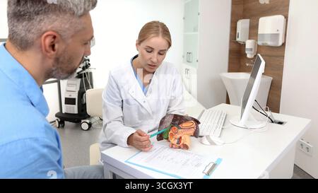 Traitement des maladies hépatiques en médecine. Modèle anatomique du foie sur la table du médecin lors d'une consultation hépatologue pour un patient souffrant de douleurs latérales dans le backgrou Banque D'Images