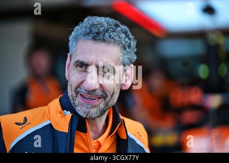 Zandvoort, pays-Bas. 30 août 2025. Andrea Stella (ITA) McLaren Team principal. 30.08.2025. Championnat du monde de formule 1, Rd 15, Grand Prix des pays-Bas, Zandvoort, pays-Bas, jour de qualification. Crédit : James Moy/Alamy Live News Banque D'Images