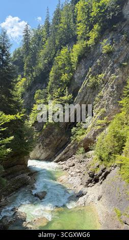 Rivière de montagne coule à travers une forêt luxuriante avec des falaises rocheuses abruptes. La scène capture la beauté du paysage accidenté de la nature, avec Wate émeraude Banque D'Images