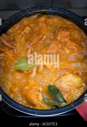 Gulai ayam ou curry de poulet est de la viande de poulet dans le curcuma, la soupe de lait de coco et d'autres épices Banque D'Images