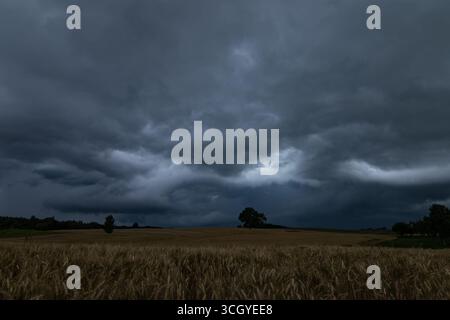 Nuages orageux sombres au-dessus du champ de blé. Panorama carré de deux photos 20 Banque D'Images