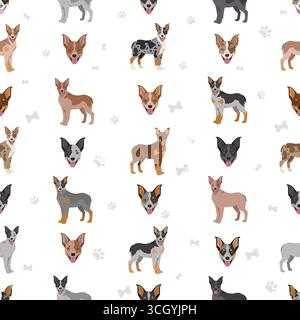 Texas Heeler clipart. Chien de boucherie australien et berger australien assortis de différentes couleurs de pelage. Illustration vectorielle Illustration de Vecteur