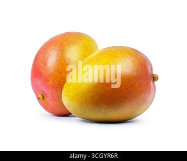 Deux fruits de mangue en gros plan isolé sur fond blanc Banque D'Images