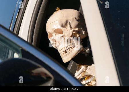 Un modèle de squelette humain assis dans une voiture avec une ceinture de sécurité sur le concept de l'humour sombre Banque D'Images