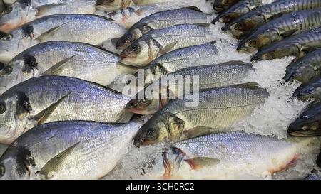 Gros plan de poisson frais refroidi sur glace à vendre sur le marché Banque D'Images