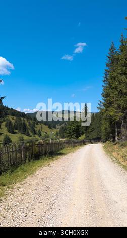 Pittoresque route de gravier serpentant à travers une vallée de montagne sereine en Roumanie, mettant en valeur la beauté de la nature Banque D'Images