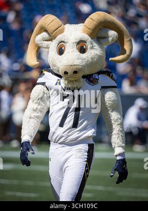 30 août 2025 : Bill the Goat, mascotte des Midshipmen de la Navy, avant le match entre les Keydets de l'Institut militaire de Virginie et les Midshipmen de la Navy, joue à Annapolis, dans le Maryland. Cory Royster/Cal Sport Media Banque D'Images
