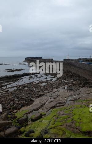 Niché à côté d'Anstruther, Cellardyke est un charmant vieux village de pêcheurs - port calme, chalets blanchis à la chaux, bassin de marée - et riche en patrimoine côtier. Banque D'Images