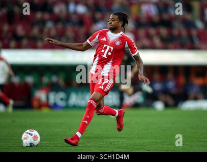 AUGSBOURG, ALLEMAGNE - AOÛT 30 : Michael Olise du FC Bayern Muenchen court avec le ballon lors du match de Bundesliga entre le FC Augsbourg et le FC Bayern München à la WWK-Arena le 30 août 2025 à Augsbourg, Allemagne. © diebilderwelt / Alamy Live News Banque D'Images