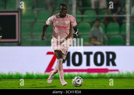 Palerme, Italie. 31 août 2025. Emmanuel Gyasi (Palerme F.C.) lors du match Italien Serie BKT entre Palermo F.C. vs Frosinone Calcio 30 août 2025 au stade Renzo Barbera à Palerme, Italie crédit : Agence photo indépendante/Alamy Live News Banque D'Images