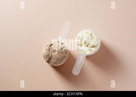 Poudre de protéine. Poudre de protéines aromatisées au chocolat et à la vanille dans des cuillères, vue de dessus. Banque D'Images