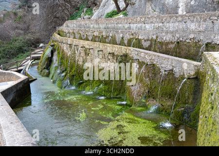 Le Fuente de Los 100 Caños ; Un paysage serein avec une structure en pierre recouverte de mousse avec plusieurs ruisseaux d'eau se jetant dans un étang verdâtre, sur Banque D'Images