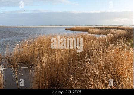 Impression d'un coucher de soleil sur une soirée d'hiver glaciale relativement froide dans la province néerlandaise de Frise. L'image est près de la ville de lemmer et la pompe à eau classique à vapeur woudagemaal. Banque D'Images