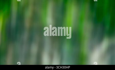 Des stries verticales légèrement floues de vert, blanc et bleu foncé. Il n'y a pas de formes distinctes, le mouvement comme flou donne à l'image un rêve pictural Banque D'Images