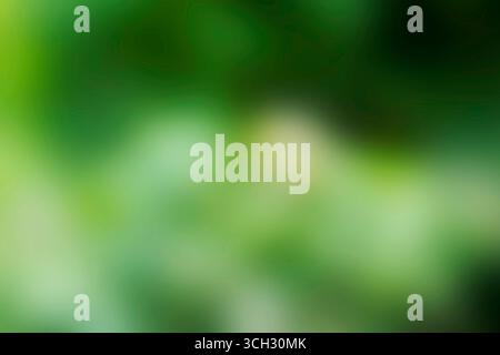 Le flou de mouvement donne à l'image une sensation de peinture, de rêve, de stries légèrement floues de vert, de blanc et de bleu profond Banque D'Images