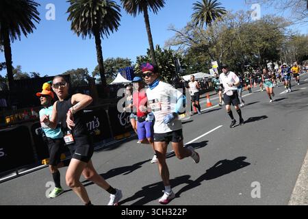 Sydney, Australie. 31 août 2025. Environ 35 000 personnes auraient participé au marathon de Sydney en 2025. La course de cette année est une première dans le cadre de la série des majors mondiaux. Crédit : Richard Milnes/Alamy Live News Banque D'Images