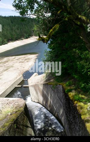 Une vue imprenable sur l'eau jaillissant d'un déversoir en béton, sur fond d'une forêt sereine et d'un réservoir partiellement vide. Banque D'Images