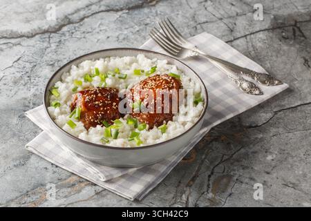 Poulet shoyu cuit à feu doux dans un mélange de shoyu, de sucre, d'eau et de vinaigre de riz servi avec du riz blanc en gros plan sur l'assiette sur la table. Hor Banque D'Images