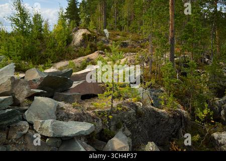 Un paysage rocheux serein magnifiquement entouré par une forêt luxuriante et vibrante de verdure Banque D'Images
