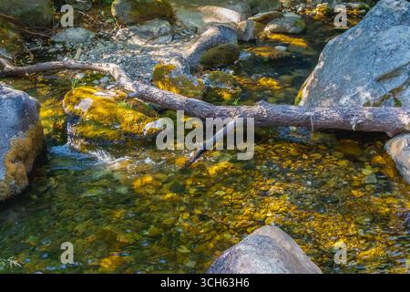 L'eau claire coule doucement sur les pierres lisses et les rochers, avec une branche tombée reposant à travers le ruisseau, éclairée par la lumière chaude du soleil filtrant à travers Banque D'Images