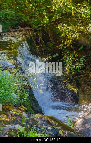 Un ruisseau clair coule sur des pierres lisses, créant de petites cascades dans une forêt sereine. Banque D'Images