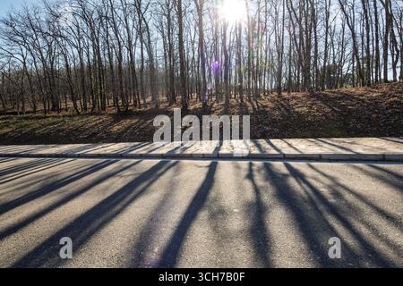 La lumière hivernale projette de longues ombres des arbres sur la route tranquille de Cuacos de Yuste, créant une atmosphère sereine et tranquille. Banque D'Images