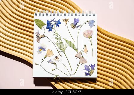 Collection de fleurs séchées dans l'herbier sur cahier. Affiche florale à plat. Plante pressée naturelle pour l'art et l'artisanat. Banque D'Images