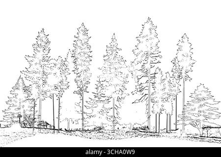 Isolé un dessin architectural, dessin de ligne d'arbre cao de style minimal, vue latérale, ensemble de section de contour de forêt humide pour dessin de conception de paysage Illustration de Vecteur