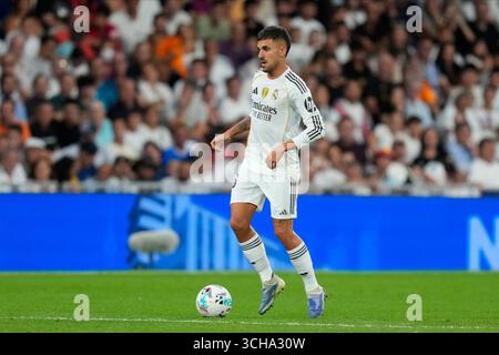 Madrid, Espagne. 30 août 2025. Dani Ceballos du Real Madrid CF lors du match la Liga EA Sports entre le Real Madrid CF et le RCD Mallorca a joué au stade Santiago Bernabeu le 30 août 2025 à Madrid. (Photo de Cesar Cebolla/PRESSIN) crédit : AGENCE SPORTIVE PRESSINPHOTO/Alamy Live News Banque D'Images