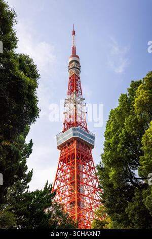 Vue sur la tour de Tokyo encadrée par la verdure du parc Banque D'Images