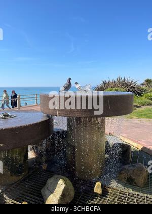 Image originale de deux pigeons dans une fontaine en bord de mer, surveillée par deux femmes qui passent Banque D'Images