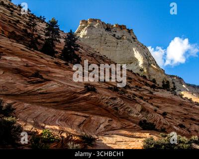 Affleurement rocheux de la formation de Kayenta de couleur rougeâtre avec le pic de grès de la mesa Checkerboard en arrière-plan dans le parc national de Zion dans l'Utah Banque D'Images