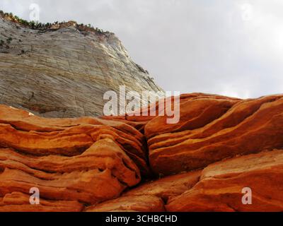 Affleurement rocheux de la formation de Kayenta de couleur rougeâtre avec le pic de grès de la mesa Checkerboard en arrière-plan dans le parc national de Zion dans l'Utah Banque D'Images