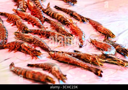 Gros plan de crevettes tigrées exposées sur le marché des fruits de mer avec de la glace Banque D'Images