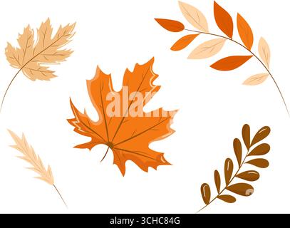 Collecte de feuilles sèches d'automne. Illustration vectorielle sur fond blanc. Érable, rowan et autres feuilles d'arbre. Parties marron, orange et beige des plantes Illustration de Vecteur