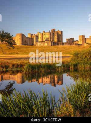 Une vue à l'aube par une journée ensoleillée en été du château d'Alnwick reflétée dans la rivière ALN vue depuis les pâturages Banque D'Images