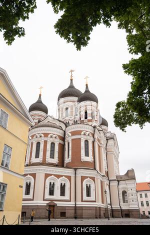 Cathédrale Alexandre Nevski avec des dômes d'oignon distinctifs dans la vieille ville de Tallinn encadrée par des branches d'arbres verts Banque D'Images