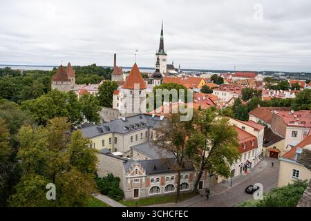 Vue aérienne de la vieille ville de Tallinn avec des tours médiévales et des toits de tuiles rouges en Estonie Banque D'Images