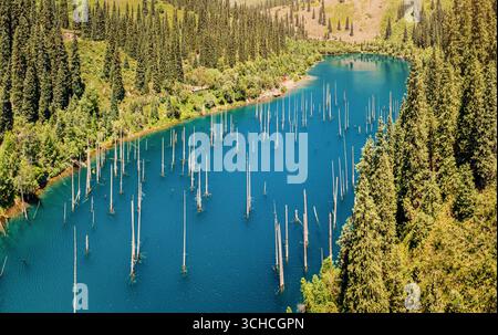Lac Kaindy ensoleillé avec des arbres submergés entouré de forêt verte et des montagnes Tian Shan au Kazakhstan Banque D'Images