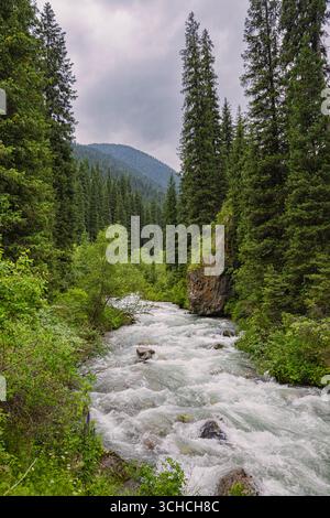 Rivière de montagne se précipitant avec l'eau qui coule rapidement, entouré de conifères verdoyants sous un ciel spectaculaire et nuageux Banque D'Images
