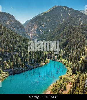 Lac Kaindy ensoleillé avec des arbres submergés entouré de forêt verte et des montagnes Tian Shan au Kazakhstan Banque D'Images