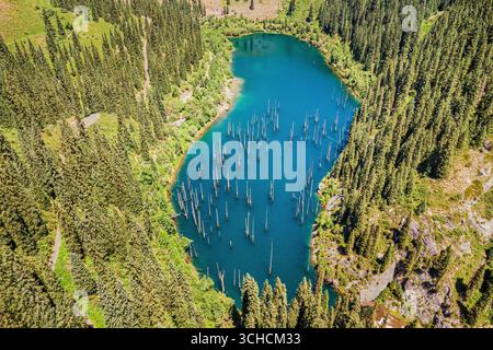 Vue aérienne du lac Kaindy ensoleillé avec des arbres submergés et de l'eau turquoise, entouré par les montagnes de Tian Shan, au Kazakhstan Banque D'Images