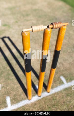 Souches de cricket en bois debout sur un terrain d'herbe inégale sous la lumière du soleil, projetant de longues ombres Banque D'Images