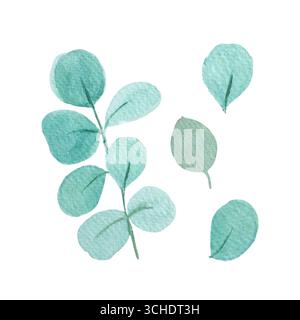 Ensemble de feuilles vert bleu éclatant d'eucalyptus. Les illustrations d'aquarelle de branche végétale texturée peintes à la main sont parfaites pour les motifs, les dessins botaniques Banque D'Images